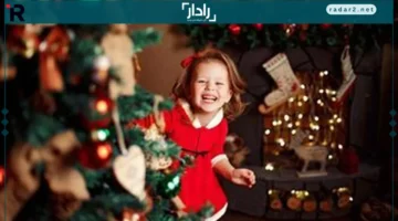 أسعار شجرة عيد الميلاد في أسواق الكريسماس 2026 تبدأ من 100 جنيه حتى 3 آلاف